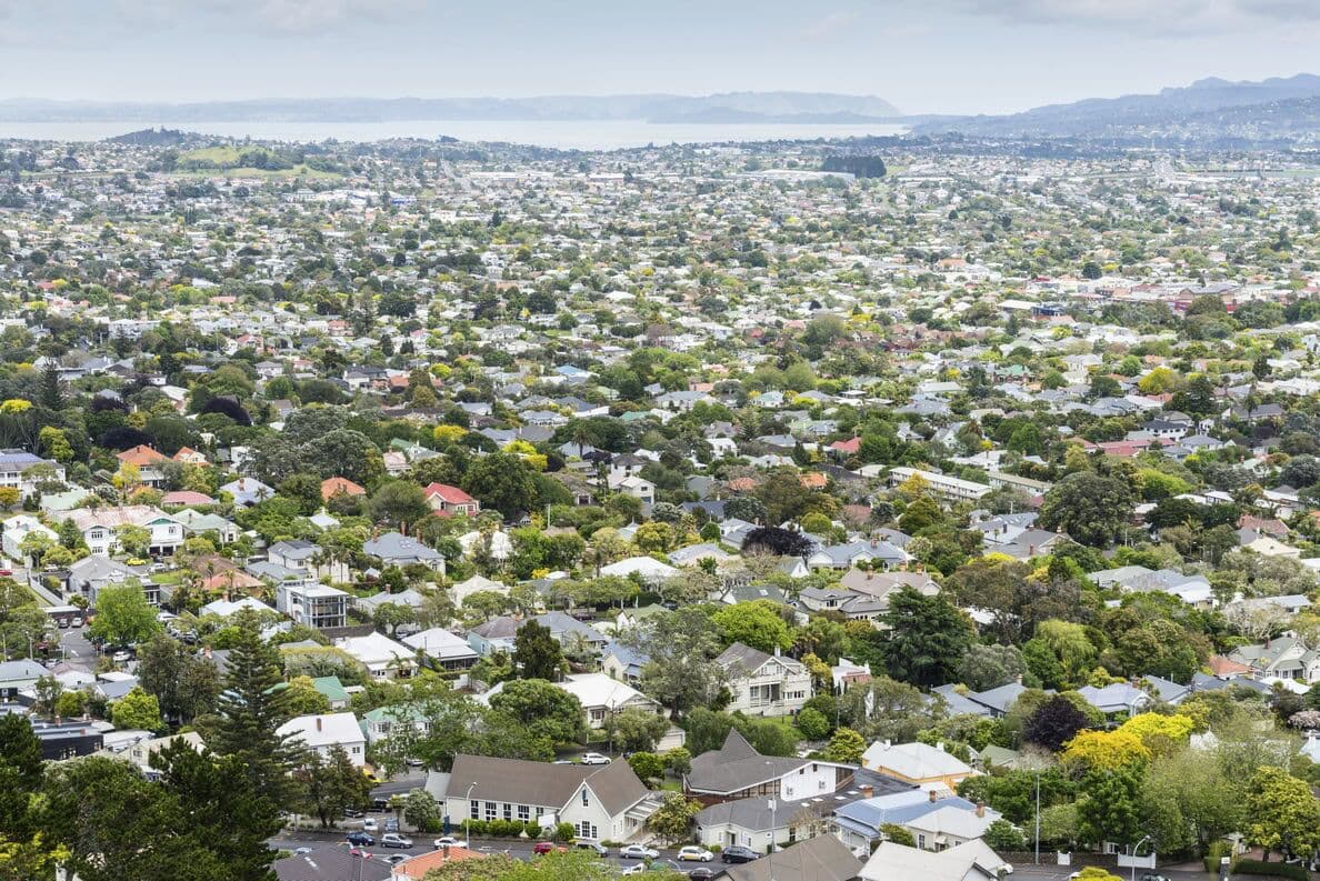 Auckland suburbs from above — rooftops and trees running down to the harbour