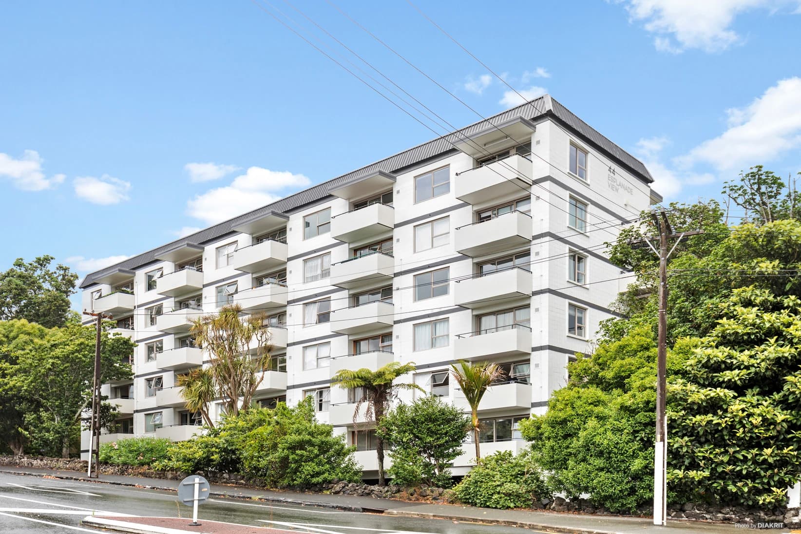 Mount Eden residential street with mature trees, character villas and city skyline beyond